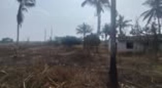 600 Sqft North Face Residential Site Sale Ilawala, Mysore