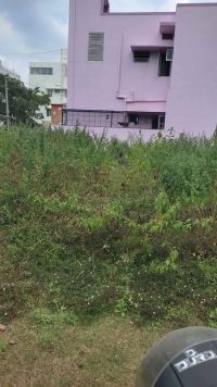 1200 Sqft South Face Residential Site Sale Somanthanagar, Mysore