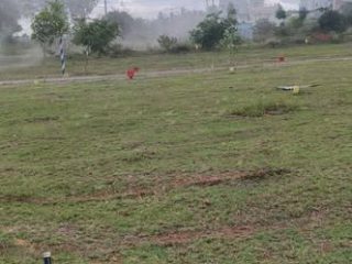 732011502_4319299024997120_1750538246379052821_n