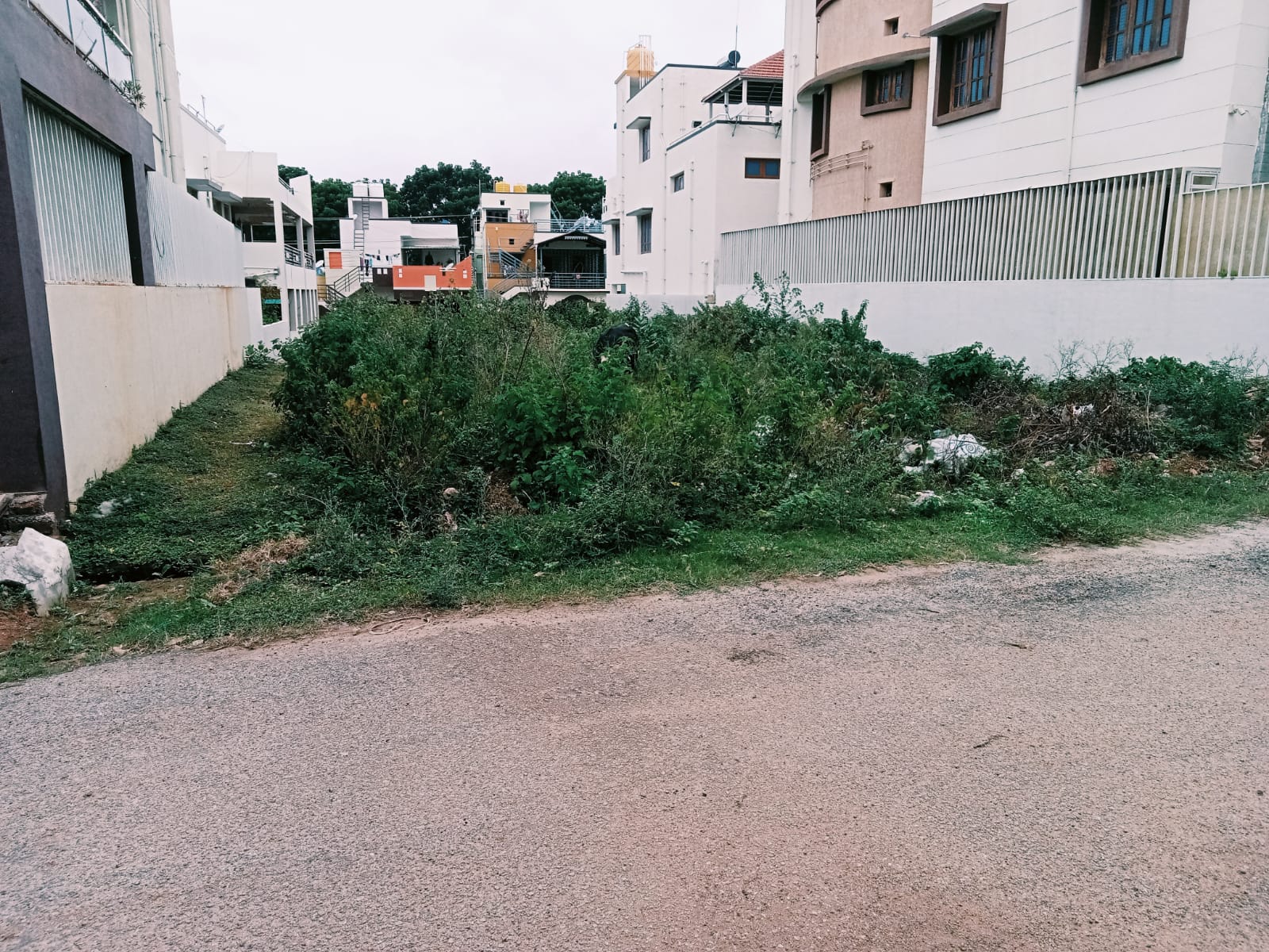 1000 Sqft Plot For Sale At Ramakrishnanagara Mysuru