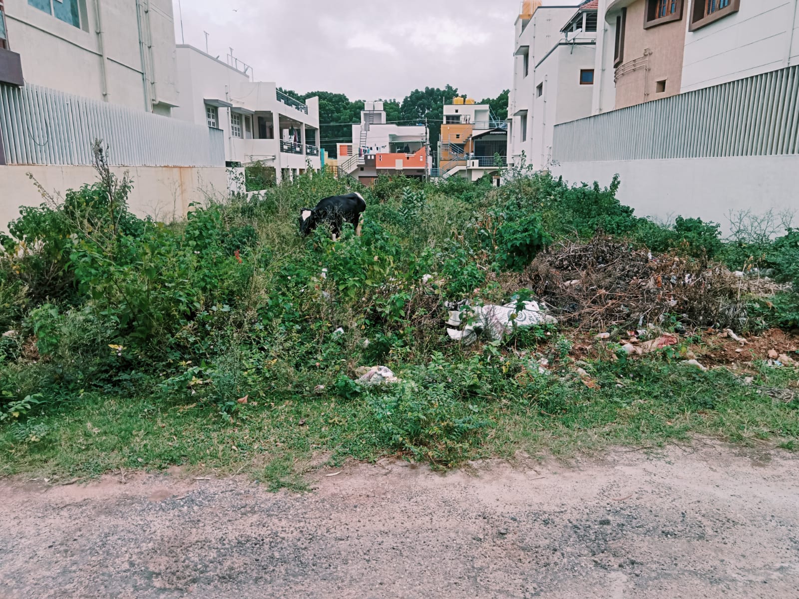 1000 Sqft Plot For Sale At Ramakrishnanagara Mysuru