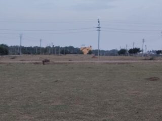 1001724656-1