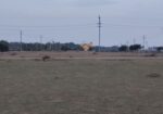 1200 Square Feet Plot Sale At Brahmins Layout Saptarishi Nagar Mysore