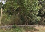 PLOT FOR SALE @ POLICE LAYOUT* *IPS Srinivas Nagar, Mysuru