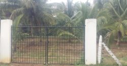 1.7 Acre Farm Land Sale Near JP Nagar Mysorr
