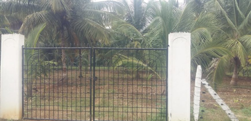 1.7 Acre Farm Land Sale Near JP Nagar Mysorr