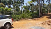 5 Acre Coffee Estate For Sale Urgent Virajpet Taluk Coorg Karnataka