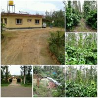 4 Acre Coffee Estate Sale Coorg.