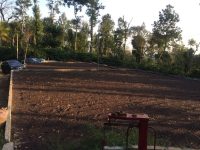 1.31 Acre Coffee Estate Sale In Madikeri