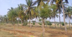 1 Acre Land Sale Suvarana Nagara, Mysore