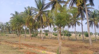 1 Acre Land Sale Suvarana Nagara, Mysore