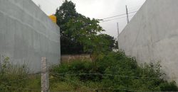 800 Sqft Residential Site Sale Gaithripuram, Mysore