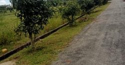 1200 Sqft South Face Residential Site Sale TN Pura Road, Mysore