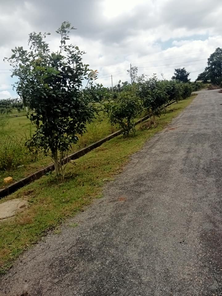 1200 Sqft South Face Residential Site Sale TN Pura Road, Mysore