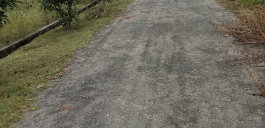 1200 Sqft South Face Residential Site Sale TN Pura Road, Mysore