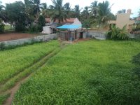 800 Sqft North West Corner Residential Site Sale Ilavala, Mysore