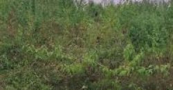 1200 Sqft South Face Residential Site Sale Somanthanagar, Mysore