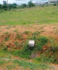 486730301_1828010291294644_3700384000317568993_n