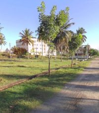 571319317_122207884934046011_4752341591301282535_n