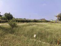 586345721_25082151884760791_5887394028499248791_n