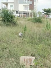 588397223_1830875827791331_4743494735997657616_n