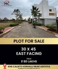 592889150_25382688184705400_1833874711025584592_n