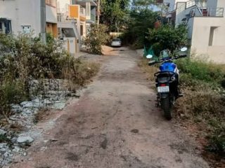 601805347_25586410524325468_951814512435364500_n