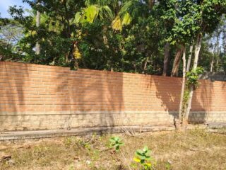 611803876_871809292377023_1814565395133748482_n-1