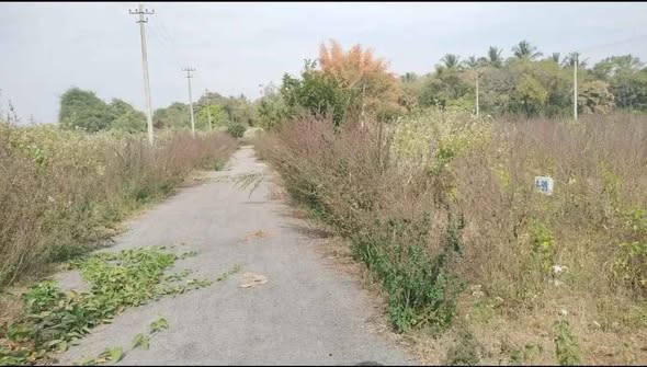 Residential Site Sale RT Nagar, Mysore