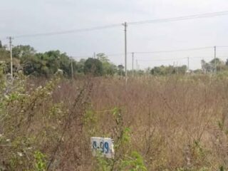 615442875_26010260605227208_5523204260799622158_n