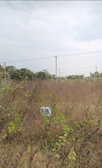 Residential Site Sale RT Nagar, Mysore