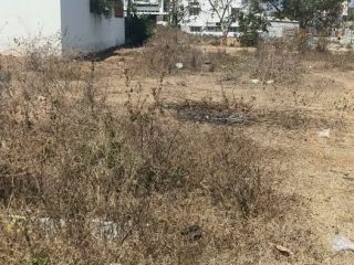 621811042_4158088127784878_3262335383995559550_n