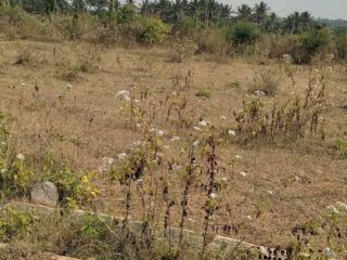 624776887_2423932278009519_377327666477671302_n