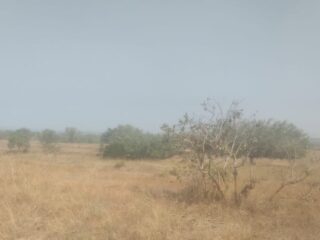 627767399_122177611442761302_4327893567034383555_n