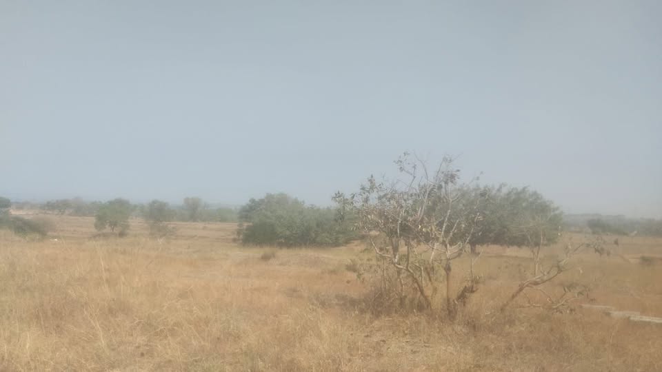 Residential Site Sale Dadadahalli, Mysore