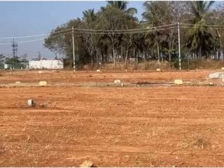 630310141_26013981711586185_5062261958778038437_n