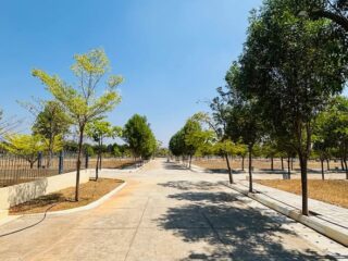 635182297_122105762349245989_4668912228680091824_n-1