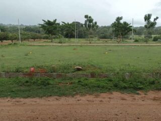 636678316_122248762274125526_7882320104495445934_n